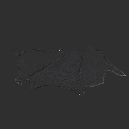 iC3 Net